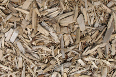 biomass boilers Dunmere